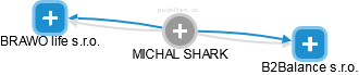 MICHAL SHARK - Vizualizace  propojení osoby a firem v obchodním rejstříku
