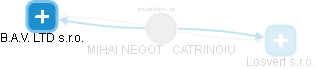 MIHAI NEGOT - CATRINOIU - Vizualizace  propojení osoby a firem v obchodním rejstříku