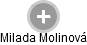 Milada Molinová - Vizualizace  propojení osoby a firem v obchodním rejstříku