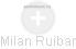Milan Ruibar - Vizualizace  propojení osoby a firem v obchodním rejstříku