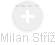 Milan Stříž - Vizualizace  propojení osoby a firem v obchodním rejstříku