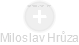 Miloslav Hrůza - Vizualizace  propojení osoby a firem v obchodním rejstříku