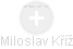 Miloslav Kříž - Vizualizace  propojení osoby a firem v obchodním rejstříku