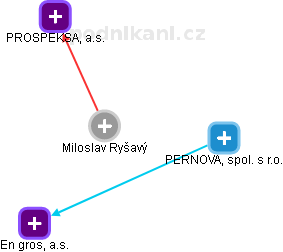 Miloslav Ryšavý - Vizualizace  propojení osoby a firem v obchodním rejstříku