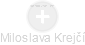 Miloslava Krejčí - Vizualizace  propojení osoby a firem v obchodním rejstříku