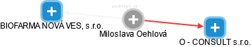 Miloslava Oehlová - Vizualizace  propojení osoby a firem v obchodním rejstříku