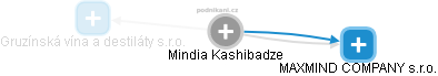 Mindia Kashibadze - Vizualizace  propojení osoby a firem v obchodním rejstříku