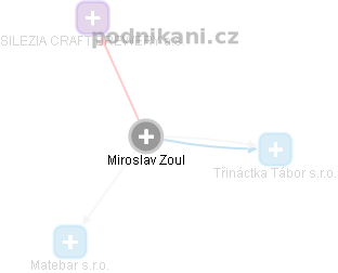 Miroslav Zoul - Vizualizace  propojení osoby a firem v obchodním rejstříku
