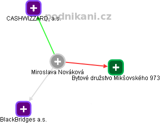  Miroslava N. - Vizualizace  propojení osoby a firem v obchodním rejstříku