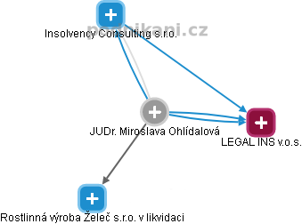 Miroslava Ohlídalová - Vizualizace  propojení osoby a firem v obchodním rejstříku