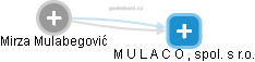  Mirza M. - Vizualizace  propojení osoby a firem v obchodním rejstříku