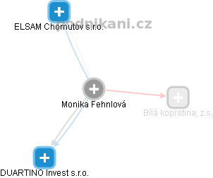 Monika Fehnlová - Vizualizace  propojení osoby a firem v obchodním rejstříku