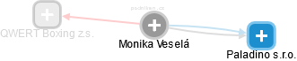  Monika V. - Vizualizace  propojení osoby a firem v obchodním rejstříku