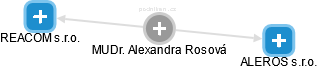  Alexandra R. - Vizualizace  propojení osoby a firem v obchodním rejstříku