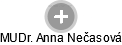  Anna N. - Vizualizace  propojení osoby a firem v obchodním rejstříku
