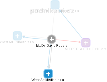 David Pupala - Vizualizace  propojení osoby a firem v obchodním rejstříku