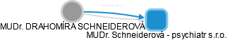  Schneiderová D. - Vizualizace  propojení osoby a firem v obchodním rejstříku