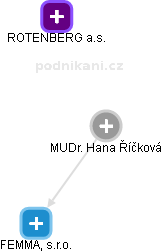 Hana Říčková - Vizualizace  propojení osoby a firem v obchodním rejstříku