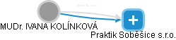  Kolínková I. - Vizualizace  propojení osoby a firem v obchodním rejstříku