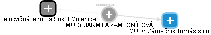  Jarmila Z. - Vizualizace  propojení osoby a firem v obchodním rejstříku
