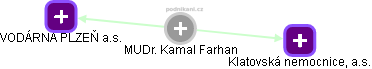 Kamal Farhan - Vizualizace  propojení osoby a firem v obchodním rejstříku