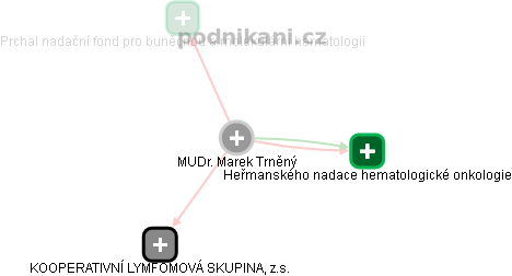 Marek Trněný - Vizualizace  propojení osoby a firem v obchodním rejstříku