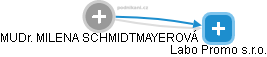  Schmidtmayerová M. - Vizualizace  propojení osoby a firem v obchodním rejstříku