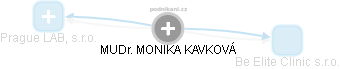 MONIKA KAVKOVÁ - Vizualizace  propojení osoby a firem v obchodním rejstříku