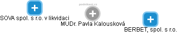 Pavla Kalousková - Vizualizace  propojení osoby a firem v obchodním rejstříku