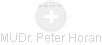 Peter Horan - Vizualizace  propojení osoby a firem v obchodním rejstříku