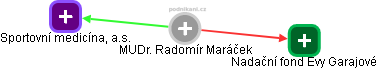  Radomír M. - Vizualizace  propojení osoby a firem v obchodním rejstříku