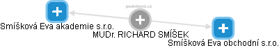  Richard S. - Vizualizace  propojení osoby a firem v obchodním rejstříku