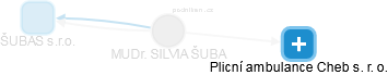 SILVIA ŠUBA - Vizualizace  propojení osoby a firem v obchodním rejstříku