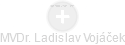  Ladislav V. - Vizualizace  propojení osoby a firem v obchodním rejstříku