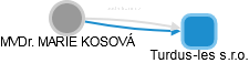  Kosová M. - Vizualizace  propojení osoby a firem v obchodním rejstříku