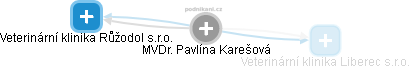 Pavlína Karešová - Vizualizace  propojení osoby a firem v obchodním rejstříku