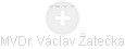 Václav Žatečka - Vizualizace  propojení osoby a firem v obchodním rejstříku