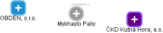 Mykhaylo Paliy - Vizualizace  propojení osoby a firem v obchodním rejstříku