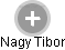 Nagy Tibor - Vizualizace  propojení osoby a firem v obchodním rejstříku