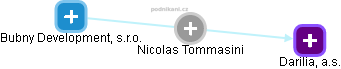  Nicolas T. - Vizualizace  propojení osoby a firem v obchodním rejstříku