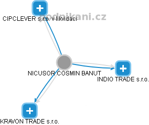 NICUSOR COSMIN BANUT - Vizualizace  propojení osoby a firem v obchodním rejstříku