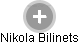 Nikola Bilinets - Vizualizace  propojení osoby a firem v obchodním rejstříku