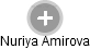 Nuriya Amirova - Vizualizace  propojení osoby a firem v obchodním rejstříku