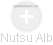  Nutsu A. - Vizualizace  propojení osoby a firem v obchodním rejstříku