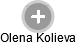 Olena Kolieva - Vizualizace  propojení osoby a firem v obchodním rejstříku