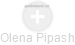 Olena Pipash - Vizualizace  propojení osoby a firem v obchodním rejstříku