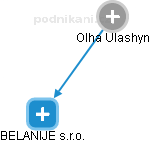 Olha Ulashyn - Vizualizace  propojení osoby a firem v obchodním rejstříku