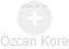 Özcan Kore - Vizualizace  propojení osoby a firem v obchodním rejstříku