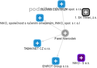 Pavel Nierostek - Vizualizace  propojení osoby a firem v obchodním rejstříku