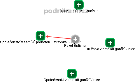 Pavel Šplíchal - Vizualizace  propojení osoby a firem v obchodním rejstříku